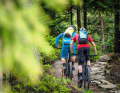 Moderate Anstiege sind kein Problem. Erst, wenn es steil wird, kommen einige Bikes an ihre Grenzen.