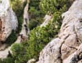 Die Trails rund um Saint-Saturnin sind zugewachsener. In den verwucherten Hängen erkennt man den Wegverlauf manchmal erst auf den zweiten Blick.