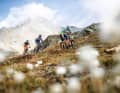 Eine Tour in den Alpen ist mit diesen Bikes kein Problem. Solange man extreme Abfahrten meidet.