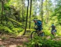Steinwald-Singletrail, Oberpfälerwald, West-Ost, Etappe 18
