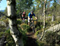 Aufregende Schlängelfahrt: Auf dem technisch anspruchsvollen Singletrail über den Hohnekamm liegt so mancher Steinbrocken im Weg.