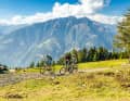 Meraner Land: Touren-Highlights für jeden Wunsch.