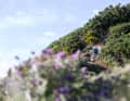Abfahrt durchs Blumenmeer. Die Pfade sind bröselig trocken und damit immer ein bisschen rutschig.