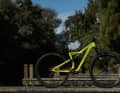 Das Stumpjumper Elite mit Aluminium Rahmen ist das zweitgünstigste Bike in der Modellreihe.