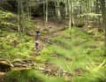Die Pfalz macht schnell: Kein Wunder, dass Karl Platt zu den besten Fahrtechnikern gehört. Er trainiert im Singeltrail-Paradies.