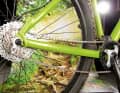 Schaltwerk oder Schaltauge abgerissen? Da hilft nur eins: Rüsten Sie Ihr Bike auf Singlespeed um. Kürzen Sie die Kette auf mittleres Ritzel und mittleres Kettenblatt. Die Kette sollte gerade laufen. Beim Fully müssen Sie zudem den Dämpfer blockieren, damit verhindern Sie, dass sich die Kettenstrebe längt und Sie zu viel Zug auf die Kette bringen.