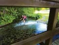 Jeder Fluss fängt mal klein an: Mit Vollgas durch die Ruhr – das klappt ohne Schwimmweste nur auf ihren ersten Kilometern im Sauerland.