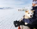 Ein unzertrennliches Paar in Grönland: Mensch und Hund