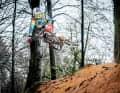 Biker-Paradies: Klausmann hat zwar direkt hinter seinem Haus einen Pumptrack, aber wenn es länger und anspruchsvoller sein soll, düst er nach Freiburg. Dort warten die Klassiker Borderline- und Kanada-Trail.
