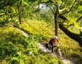 Die einsame Weite liegt so nah: Die Lüneburger

 Heide überrascht die junge Bike-Familie aus Polen

 mit feinem Trail-Terrain. 