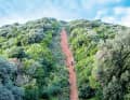 Das Team der Trail Brothers kümmert sich um die Strecken rund um Massa Marittima. Viele der Wege sind ausgebaute Wildschwein-Routen … 