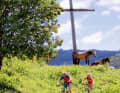 Der letzte Trail-Abschnitt auf der Abfahrt von der Cisioner Alm. Nach diesem Wiesenpfad folgt ein Hohlweg für Fortgeschrittene.