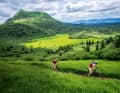 3 MTB Touren um die Vulkane des Massif Central in Südfrankreich