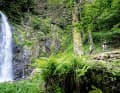 Im dichten Waldpelz der Auvergne verstecken sich Wasserfälle wie die Cascade du Queureuihl.