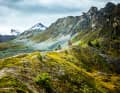 Wallis: Am Aletschgletscher – Der Blick auf den größten Gletscher der Alpen verschlägt einem den Atem, aber auch die weiteren Trails durch seine abgetauten Seitentäler sind ein großes Erlebnis. So wie hier die Bettmer Alp. 
