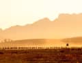 Auch wegen dieser Bilder zählt das Cape Epic als Tour de France der Mountainbiker