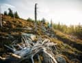 Eine Kulisse wie in Kanada – die Natur-Trails im Grenzgebiet sind unberührt und menschenleer.