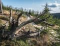 Die Flow-Country-Trails in der MTB-Zone am Ettelsberg sind beliebt, aber es gibt auch Strecken für deutlich Anspruchsvollere.
