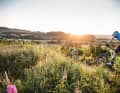 Bikepark Willingen und Trailground Brilon an einem Tag: Die beiden Highlights im Sauerland lassen sich in einer 60-Kilometer-Runde verbinden.
