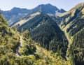 Die Gegend rund um Bichlbach und Berwang war unter Bikern bisher wenig bekannt. Das sollen die neu erschlossenen Routen, wie hier der Mühlwald Trail nach Kleinstockach hinunter, künftig ändern.