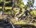 Moderne Trailbikes werden immer schwerer. Abfahrtslastige Geometrien und  dicke Reifen sorgen bei sportlichen Touren-Bikern für Verdruss. Darum haben wir sechs leichte Trailbikes auf Racefully-Basis mit 120 Millimetern Federweg zum Test beordert. Sind die sogenannten Sport-Tourer die neuen Alleskönner?