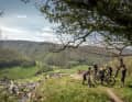 Die Schwäbische Alb bietet die perfekte Topografie, um sich mit dem MTB gepflegt 100 Kilometer in die Waden zu drücken.