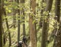 Die 2-Meter-Regel in Baden-Württemberg macht die Routenwahl nicht einfach. Ständig stellt sich die Frage: Ist der Weg zwei Meter breit? Und wo wird eigentlich gemessen? Von Baum zu Baum? Oder von äußerstem Kieselstein zu äußerstem Kieselstein? Mit Maßband fährt jedenfalls niemand der örtlichen Bike-Szene.