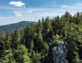 Ein kurzer Abstecher zu Fuß während des Anstiegs zur Schwarzwaldhochstraße eröffnet den Blick zur Hornisgrinde (1164 m).
