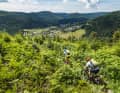 Farnverkehr à la Baiersbronn – die Singletrails rund um das Feinschmeckerdorf sind lecker. Und leicht verdaulich.