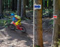 Die Sasbachwalden-Trails leiten Biker mit jeder Menge Anlieger und Airtime ins Fachwerkörtchen.