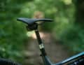 Das Lux Trail CF 8 kommt mit der Rockshox Reverb AXS, der Sattelstützendurchmesser beträgt 30,9 Millimeter.