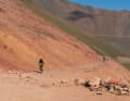 50 Meter vor dem ersten 3000-Meter-Pass des Rennens.