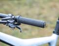Bulls Wild Ronin Team: die bewährte Schaltung Shimano XT 1 x 12