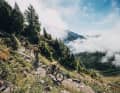 Die wollen nur spielen ... Nichts langweilt Kinder so sehr wie stumpfes Bergaufgekurbel durch den Wald. Mit Ferien im Bikepark lässt sich aber die Touren-Fraktion nicht locken? Wir zeigen die besten Spots und Events, die garantiert die ganze Bike-Familie glücklich machen.