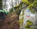Das schier endlose Netzwerk aus Wanderwegen und Trails sorgte für viel Abwechslung und unterschiedlichste Anforderungen an die Bikes.