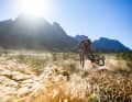 Typisch für die Region: Die flowigen Trails mit kleinen Sprüngen. Mehr Infos zu den Trails in Südafrika gibt´s hier
.
