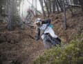 Egal, ob teuer oder günstig: Die neueste Enduro-Generation verspricht Souveränität in jedem Gelände. Zumindest, solange es bergab geht.