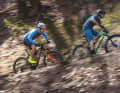 Hardtail, Racefully oder doch lieber Down-Country-Bike? Diese Frage trennt noch so manchen Speed-Hungrigen von seinem Traum-Bike für Racetrack oder Hausrunde. Neun Bikes aus drei Kategorien sollen im Quervergleich für Klarheit sorgen.