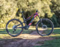 Rotwild R.X 375 Pro // 9499 Euro // 19 kg // Shimano EP8, 375 Wh // 29 Zoll // 150/140 mm