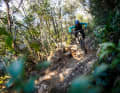 Früher der Arbeitsweg von Köhlern, heute gefeierte Urlaubs-Trails für Mountainbiker: die Trails von Punta Ala 