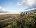 Cape Epic: Etappenrennen durch die wunderbare Landschaft des Westkaps Südafrikas.