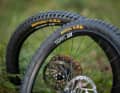 Argotal vorne und Kryptotal hinten in der Enduro-Version mit Soft-Gummi. Die ideale Kombi für Enduro-Biker?