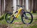 Nox Epium Enduro 7.1 Pro: 9199 Euro // 20,95 Kilogramm // 29/27,5 Zoll (Mullet) // 180 Millimeter Federweg.
