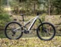 Rockrider E-Feel 700 S // Shimano EP6 // 630 Wh // 160/150 mm // 29 Zoll // 25,2 kg // 3999 Euro