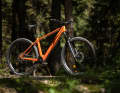 Ein Light-Hardtail mit minimalistischem TQ-Motor. Das ist das neue Rose Bonero Plus.