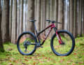 Specialized Epic World Cup S-Works // 12500 Euro // 9,6 kg (Größe L) // 29 Zoll // 110/75 mm.