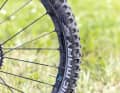 Dicke Walzen: Schwalbes Enduro-Kombi mit stabiler Super-Gravity-Karkasse und 2,6 Zoll breite bringt zwar Fahrsicherheit aber auch einige Pfunde. Unser Tipp: Auf Trailreifen in 2,4-Zoll-Reifen abrüsten und ein halbes Kilo einsparen.