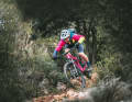 Das Arc8 Essential Custom in Action.