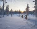 Lappland: Fatbike-Expedition