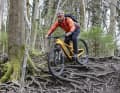 Über ein Wurzelfeld in eine enge Kurve gehen? Auch hier legen Sram und Shimano den richtigen Gang ein, ohne dass der Fahrer die Kurbel drehen muss. Hier mit einem klassischen System schalten? Unmöglich!